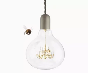 کوچک ترین لوستر دنیا ماینهارت